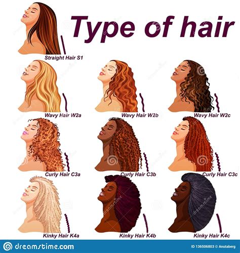 Illustration of different hair types (fine, coarse, curly, straight) with icons representing common concerns like frizz, dryness, and damage.