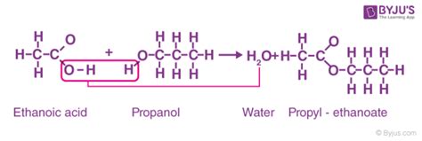 Diagram illustrating the reaction of benzoyl chloride with an alcohol to form an ester