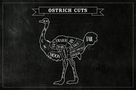 Illustration showing the process of caping a turkey, including cuts around the neck and body, and separation of the tail fan.