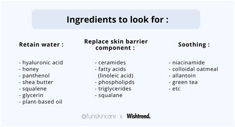 Infographic highlighting ingredients that strengthen the skin barrier