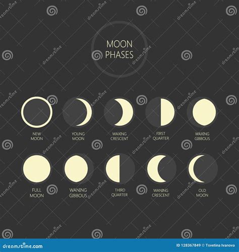 Illustration of the moon phases, highlighting the New Moon and Full Moon.
