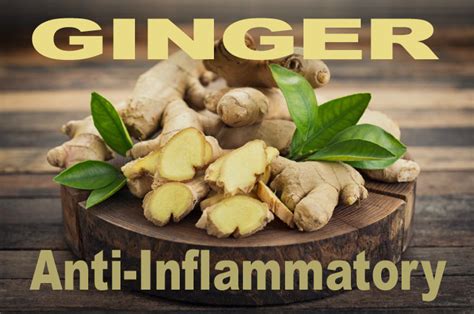 Illustration of ginger root with antioxidant and anti-inflammatory symbols.