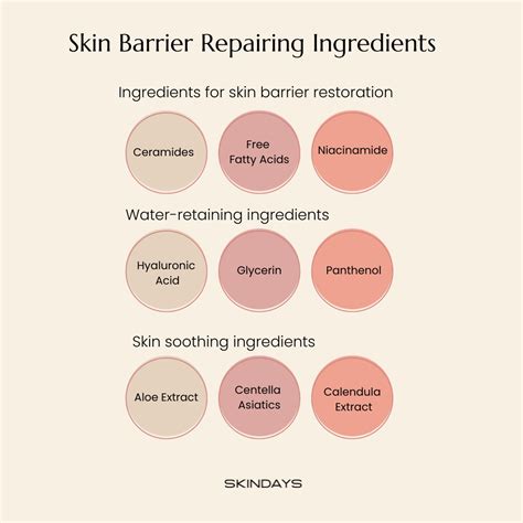 Infographic illustrating the functions of Glycerin, Niacinamide, and Panthenol on skin hydration and barrier repair.