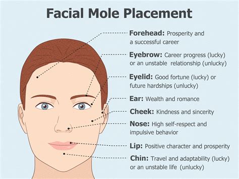 Illustration showing common mole locations on the face and body