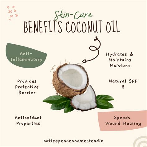 Illustration of coconut oil's fatty acid structure and its benefits for skin.
