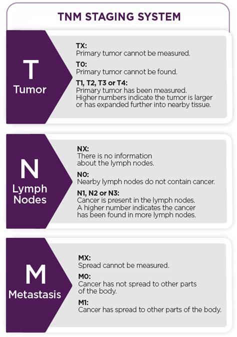 Diagram illustrating the TNM staging system for cancer.