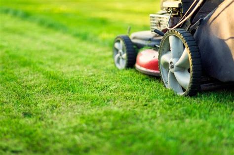 Mower scalping lawn. Photo Credit: Mariusz Blach / Adobe Stock