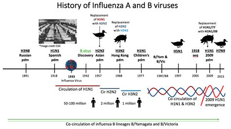 Diagram illustrating the timeline of an influenza vaccine administration and potential onset of skin reactions.