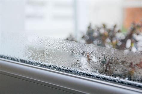 Illustration comparing interior and exterior window condensation with seasonal context.