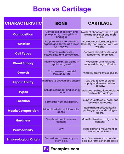 Infographic illustrating how X-rays differentiate between bone and soft tissue