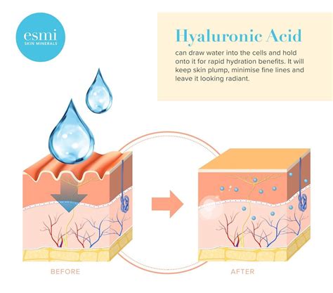 Infographic detailing the multi-layered hydration effect of hyaluronic acid on the skin