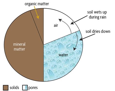 Diagram illustrating the pore spaces between soil particles and how water occupies them.