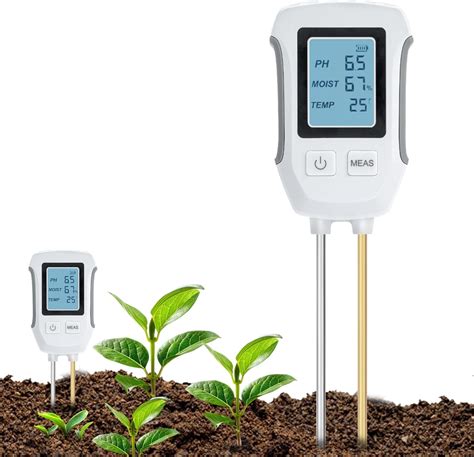Illustration of a moisture meter probe being inserted into soil near plant roots.