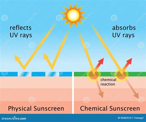 Diagram illustrating the difference between chemical and physical sunscreen absorption/reflection