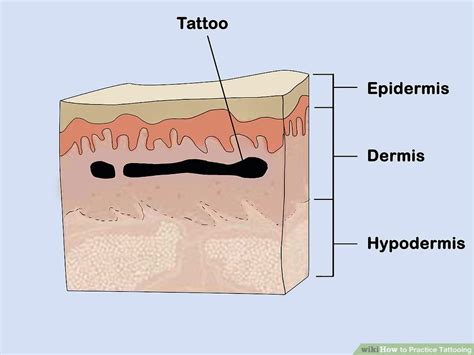 Diagram illustrating the layers of skin and where tattoo ink is deposited.