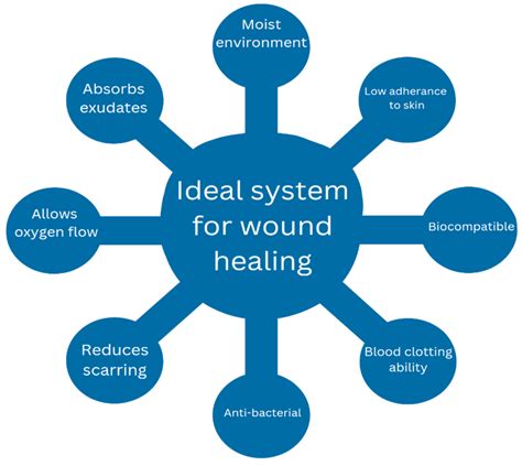 Infographic showing the key factors for optimal wound healing: moisture, temperature, nutrition, hydration, and stress management.