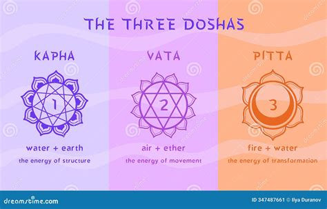 Infographic illustrating the three doshas (Vata, Pitta, Kapha) and their influence on skin health.