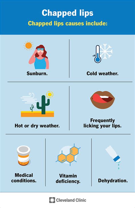 A graphic showing icons representing sun, wind, and cold weather as causes of chapped lips.