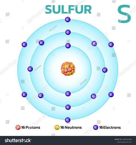 Infographic showing the chemical structure of sulfur and its presence in common foods and human tissues.