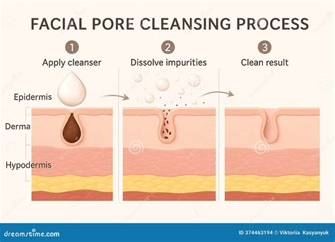 Infographic illustrating the process of skin renewal and pore cleansing.