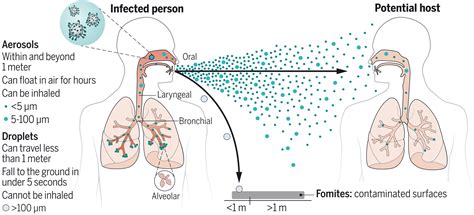 Diagram illustrating the spread of Mycoplasma pneumoniae through respiratory droplets.