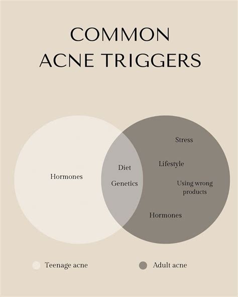 infographic illustrating common acne triggers: hormones, diet, stress, skincare