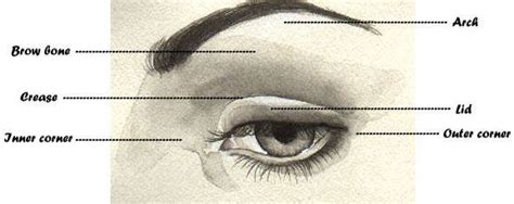 Diagram illustrating the application of an eye mask, showing placement from the inner to outer corner of the eye.