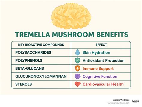 Infographic detailing the benefits of key skincare ingredients like Tremella Mushroom, Cica, and Green Tea
