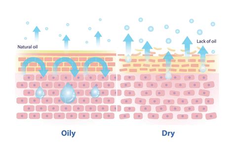 Illustration detailing the occlusive properties of mineral oil on the skin barrier.