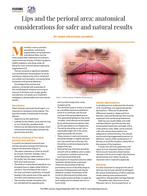 Illustration showing the anatomical layers of the lip and surrounding perioral area, highlighting areas prone to vertical lines.