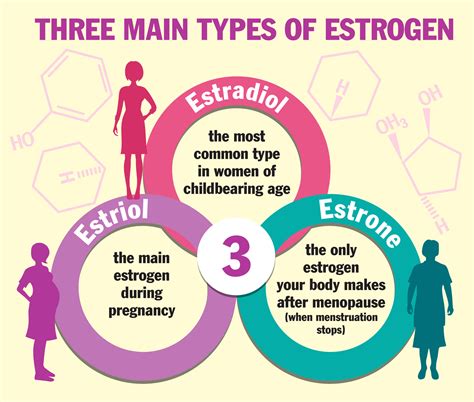 Diagram illustrating the structure of estrogen molecules and their receptors in the skin.