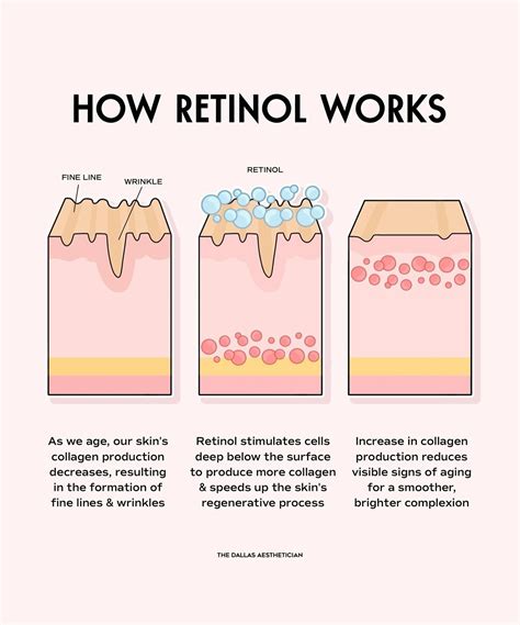 Diagram illustrating how retinol works to increase cell turnover and collagen production.