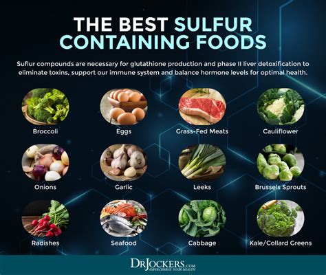 infographic illustrating the chemical structure of sulfur and its presence in common foods and the human body