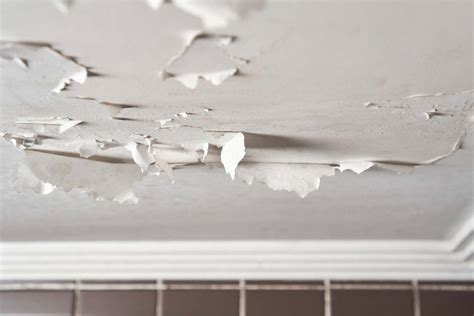Illustration showing common problem areas in a bathroom affected by moisture: ceiling, walls near shower, corners.