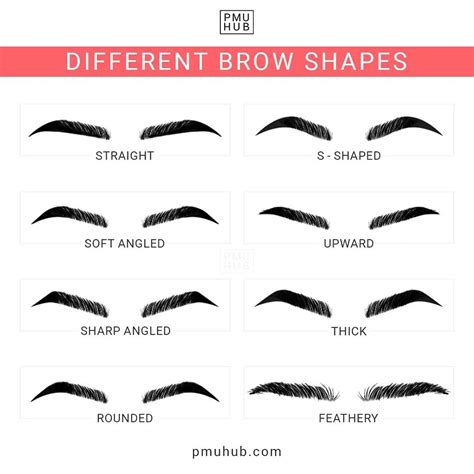 A collage of different eyebrow shapes, showcasing the impact of well-defined brows.