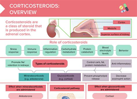 Infographic illustrating the difference between mild and strong corticosteroids and their general applications.