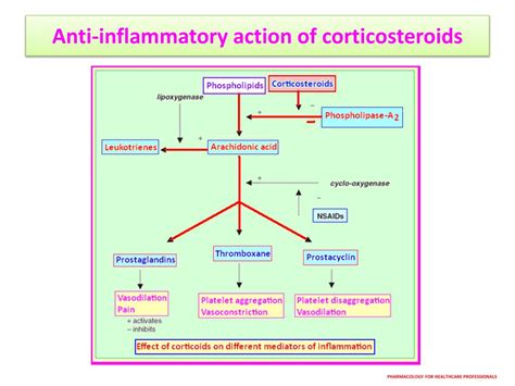 Diagram illustrating the anti-inflammatory mechanism of corticosteroids on skin cells.