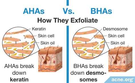Diagram illustrating the different layers of the skin and how AHAs and BHAs work in each layer.