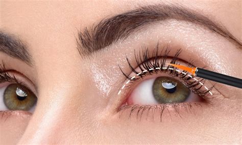 Illustration showing the application of lash serum along the upper lash line with a fine brush.