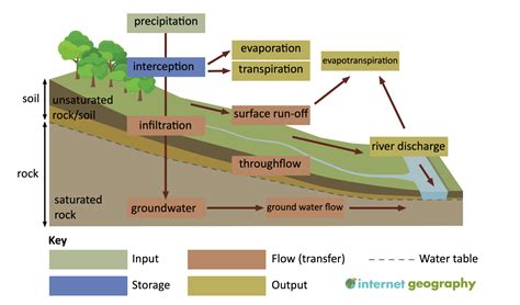 Diagram showing how minerals accumulate in water as it flows through the earth.