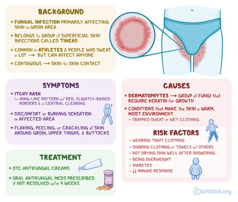 Infographic illustrating the spread and common areas affected by jock itch