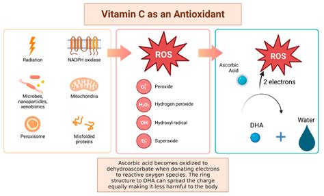 Infographic illustrating the antioxidant properties of Vitamin C and its effects on skin tone and brightness.