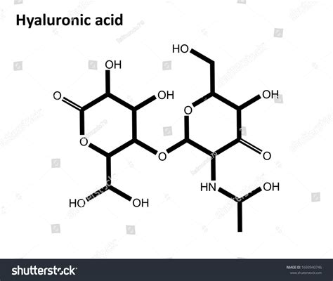 Diagram illustrating the molecular structure of Hyaluronic Acid and its hydrating effect on skin cells.