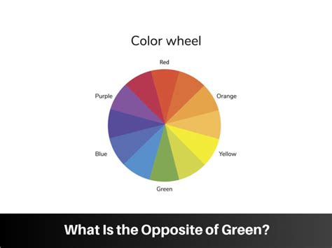Infographic illustrating the color wheel with green opposite red.