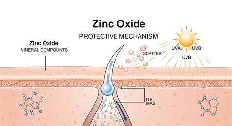 A diagram illustrating the functions of key ingredients like Glycerin, Niacinamide, and Zinc Oxide in skincare.
