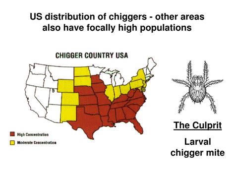 Map illustrating global distribution of chiggers