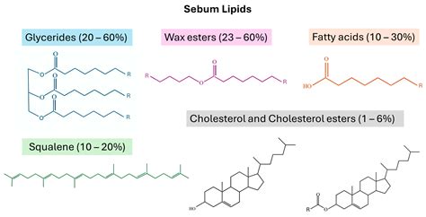 Illustration comparing the molecular structure of beef tallow and human sebum to highlight their similarity.