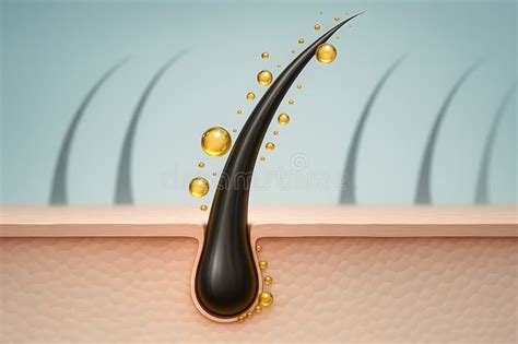 A visual representation of a hair follicle receiving nourishment from a scalp serum.