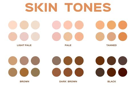 Infographic illustrating the range of skin tones from fair to deep with example makeup shades.