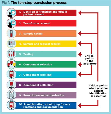 Flowchart detailing the steps for managing a suspected blood transfusion reaction.